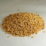 Barley Grain