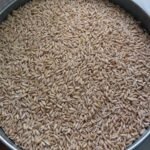 Oats
