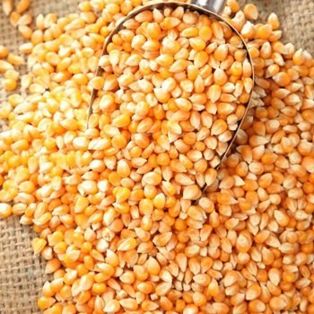 U0f10c2208a5e4ce8951e3d1032dabda6L.jpg Yellow & White Corn - Image 1