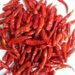 Chili Pepper