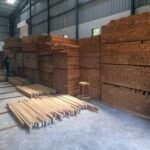 Teak Wood